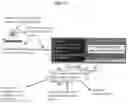 Fig. 18 - Method of administration and treatment