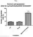 Fig. 09 - Cellular targeted active ingredient delivery system