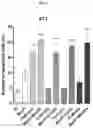 Fig. 16 - Cellular targeted active ingredient delivery system