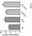 Fig. 03 - CELL THERAPY COMPOSITION FOR PREVENTING OR TREATING NEURODEGENERATIVE DISEASE COMPRISING REGULATORY T CELLS AS ACTIVE INGREDIENT