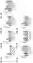 Fig. 10 - CELL THERAPY COMPOSITION FOR PREVENTING OR TREATING NEURODEGENERATIVE DISEASE COMPRISING REGULATORY T CELLS AS ACTIVE INGREDIENT