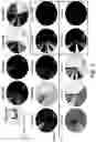 Fig. 03 - High affinity merkel cell polyomavirus T antigen-specific TCRS and uses thereof