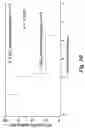 Fig. 07 - High affinity merkel cell polyomavirus T antigen-specific TCRS and uses thereof