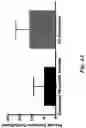 Fig. 10 - High affinity merkel cell polyomavirus T antigen-specific TCRS and uses thereof