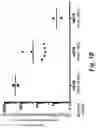 Fig. 13 - High affinity merkel cell polyomavirus T antigen-specific TCRS and uses thereof