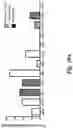 Fig. 23 - High affinity merkel cell polyomavirus T antigen-specific TCRS and uses thereof