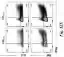 Fig. 30 - High affinity merkel cell polyomavirus T antigen-specific TCRS and uses thereof