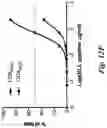 Fig. 31 - High affinity merkel cell polyomavirus T antigen-specific TCRS and uses thereof