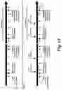 Fig. 33 - High affinity merkel cell polyomavirus T antigen-specific TCRS and uses thereof