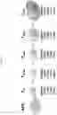Fig. 02 - CELL EXPRESSING A CAR AND A TRANSCRIPTION FACTOR AND ITS USE