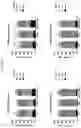 Fig. 03 - CELL EXPRESSING A CAR AND A TRANSCRIPTION FACTOR AND ITS USE