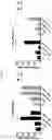 Fig. 04 - CELL EXPRESSING A CAR AND A TRANSCRIPTION FACTOR AND ITS USE