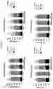Fig. 06 - CELL EXPRESSING A CAR AND A TRANSCRIPTION FACTOR AND ITS USE