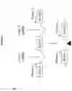 Fig. 08 - Compositions and methods for inhibition of lineage specific proteins