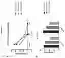 Fig. 20 - Compositions and methods for inhibition of lineage specific proteins