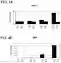 Fig. 05 - Pancreatic endocrine cells and methods thereof