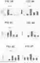 Fig. 07 - Pancreatic endocrine cells and methods thereof