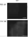 Fig. 10 - Pancreatic endocrine cells and methods thereof