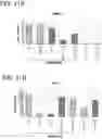 Fig. 13 - Pancreatic endocrine cells and methods thereof