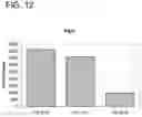 Fig. 14 - Pancreatic endocrine cells and methods thereof