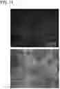 Fig. 16 - Pancreatic endocrine cells and methods thereof