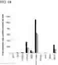 Fig. 20 - Pancreatic endocrine cells and methods thereof
