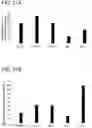 Fig. 23 - Pancreatic endocrine cells and methods thereof