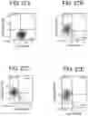 Fig. 29 - Pancreatic endocrine cells and methods thereof
