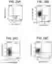 Fig. 31 - Pancreatic endocrine cells and methods thereof
