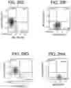 Fig. 32 - Pancreatic endocrine cells and methods thereof