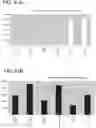 Fig. 44 - Pancreatic endocrine cells and methods thereof