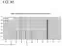 Fig. 48 - Pancreatic endocrine cells and methods thereof