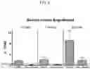Fig. 04 - COMPOSITIONS AND METHODS FOR PROVIDING HEMATOPOIETIC FUNCTION