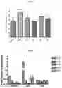 Fig. 06 - COMPOSITIONS FOR MODIFYING GUT MICROBIOTA