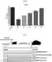 Fig. 09 - COMPOSITIONS FOR MODIFYING GUT MICROBIOTA