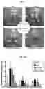 Fig. 11 - COMPOSITIONS FOR MODIFYING GUT MICROBIOTA