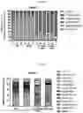Fig. 13 - COMPOSITIONS FOR MODIFYING GUT MICROBIOTA