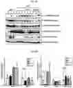 Fig. 16 - COMPOSITIONS FOR MODIFYING GUT MICROBIOTA