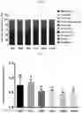 Fig. 27 - COMPOSITIONS FOR MODIFYING GUT MICROBIOTA
