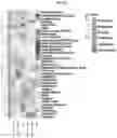 Fig. 29 - COMPOSITIONS FOR MODIFYING GUT MICROBIOTA