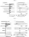 Fig. 30 - COMPOSITIONS FOR MODIFYING GUT MICROBIOTA
