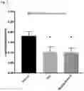 Fig. 02 - Pharmaceutical compositions comprising a strain
