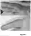 Fig. 05 - SKIN CARE COMPOSITION
