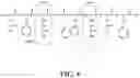 Fig. 05 - Sincalide Formulations