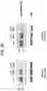 Fig. 16 - Methods and compositions for treating Huntington's disease