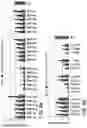 Fig. 17 - Methods and compositions for treating Huntington's disease