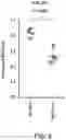 Fig. 22 - Methods and compositions for treating Huntington's disease