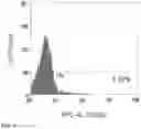 Fig. 08 - IL-12 COMPOSITIONS AND METHODS OF USE IN HEMATOPOIETIC RECOVERY