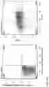 Fig. 24 - IL-12 COMPOSITIONS AND METHODS OF USE IN HEMATOPOIETIC RECOVERY