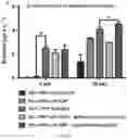 Fig. 20 - Synthetic platelets